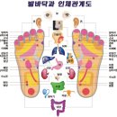 건강 발마사지 이미지