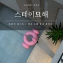 스테이묘해 이미지