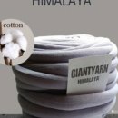 장미모사 이미지