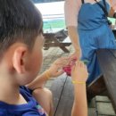 명주농장 이미지