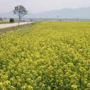 왕숙천변 이미지