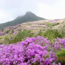 명산목장2 이미지