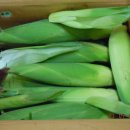 해수농장 이미지