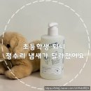 플리브 | 초등학생 정수리 냄새 고민, 플리브미 비건 키즈 샴푸 사용 후기