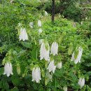 청강농원 이미지