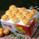 사진촬영 이미지