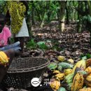 큰윤호농장 이미지