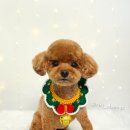 리리댕댕 이미지