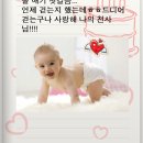 아이포토 이미지