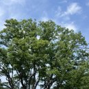 청계산로 241-1 이미지