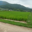 곡성-171 이미지