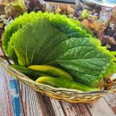 김사또 산더미 오리&탕 | 창녕 김사또산더미오리