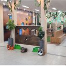 경기도 북부야생동물구조관리센터 이미지