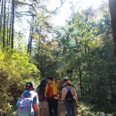 홍천군장애인복지관 이미지