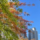 스마트부동산중개주식회사 이미지