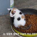 그냥,점례 이미지