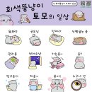 뚱냥이네 이미지