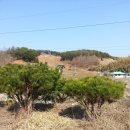 이색체험마을 이미지