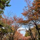 국회의사당역 5번 출입구 이미지