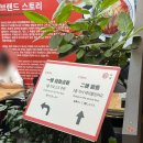 음식, 다양한 중국식 요리를 맛볼 수 있는 '명동 딤딤완탕' 솔직후기(우육면, 쑤안라펀, 중국식 구운만두)
