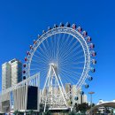 속초당 | 속초 아이 대관람차 네이버 예약 앙젤루스 후기