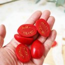 샐러드 매장 광고 촬영 필수품, 단면까지 리얼한 반쪽 대추방울토마토 모형 소품 사용 후기
