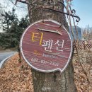 인천 강화 고벵이 오션뷰 온수수영장 애견동반 풀빌라 펜션 | 강화도 반려견 동반 숙소 추천｜터펜션 두 번째 방문 솔직 재방문 후기