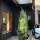 Black fit 진도점 | 킨더살몬 쇼룸 | 위시리스트 피팅 후기 ( 가방, 미아, 블라우스, 원피스 )