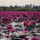 원스톱 명품 행정사 공인중개사 사무소 이미지