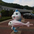 동강전기
