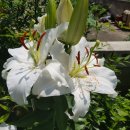 작금마을회관 이미지