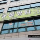 망미동물병원 이미지