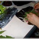 초록민박 이미지