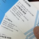 성노진 카카오 검색결과