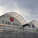 상춘꽃농원 이미지