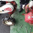 조수카센타 이미지