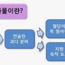 대박점핑 이미지