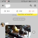 커피베이영천