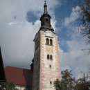 토이포이 이미지