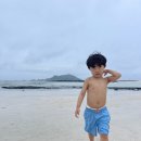 서쪽아이 이미지