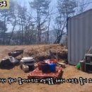 G1164 이미지