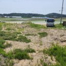 강릉 명 부동산 공인중개사사무소 이미지