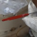 비전 카센타 이미지