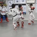 강진태권도 이미지