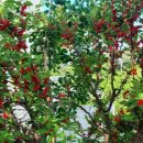 학성바다펜션 이미지