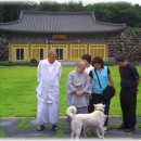 제주불교의식 이미지