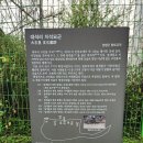 대석리 지석묘군 이미지