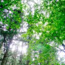 부산어린이대공원 이미지