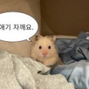 더블마트 네이버블로그