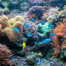 건강이열리는약국 이미지